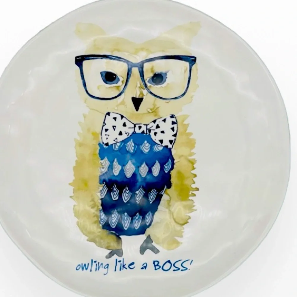 Pier1 Dinner owling Like a BOSS! Pier1 Dinner Plate
